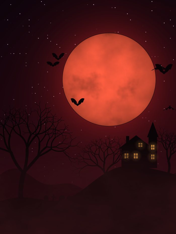 Haunted Moon on iPad in portrait: a huge red moon with bats over a silhouetted haunted house and bare trees