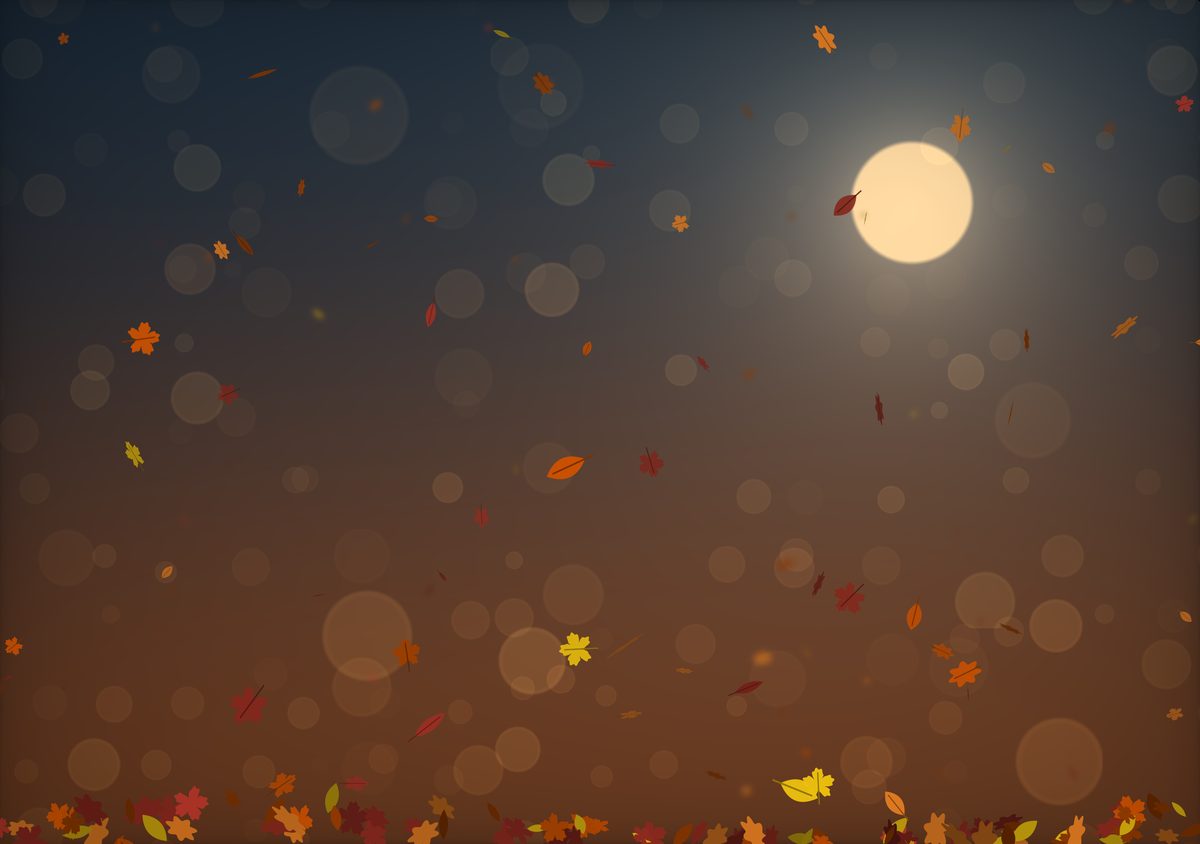 Maple Wind on a foldable iPhone's inner screen: autumn leaves drifting under a pale harvest moon